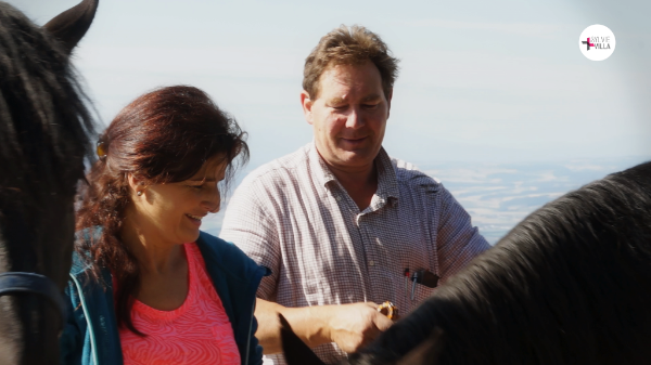 9e14492f-d1fb-4163-be62-f413bc588eaf